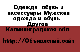 Одежда, обувь и аксессуары Мужская одежда и обувь - Другое. Калининградская обл.